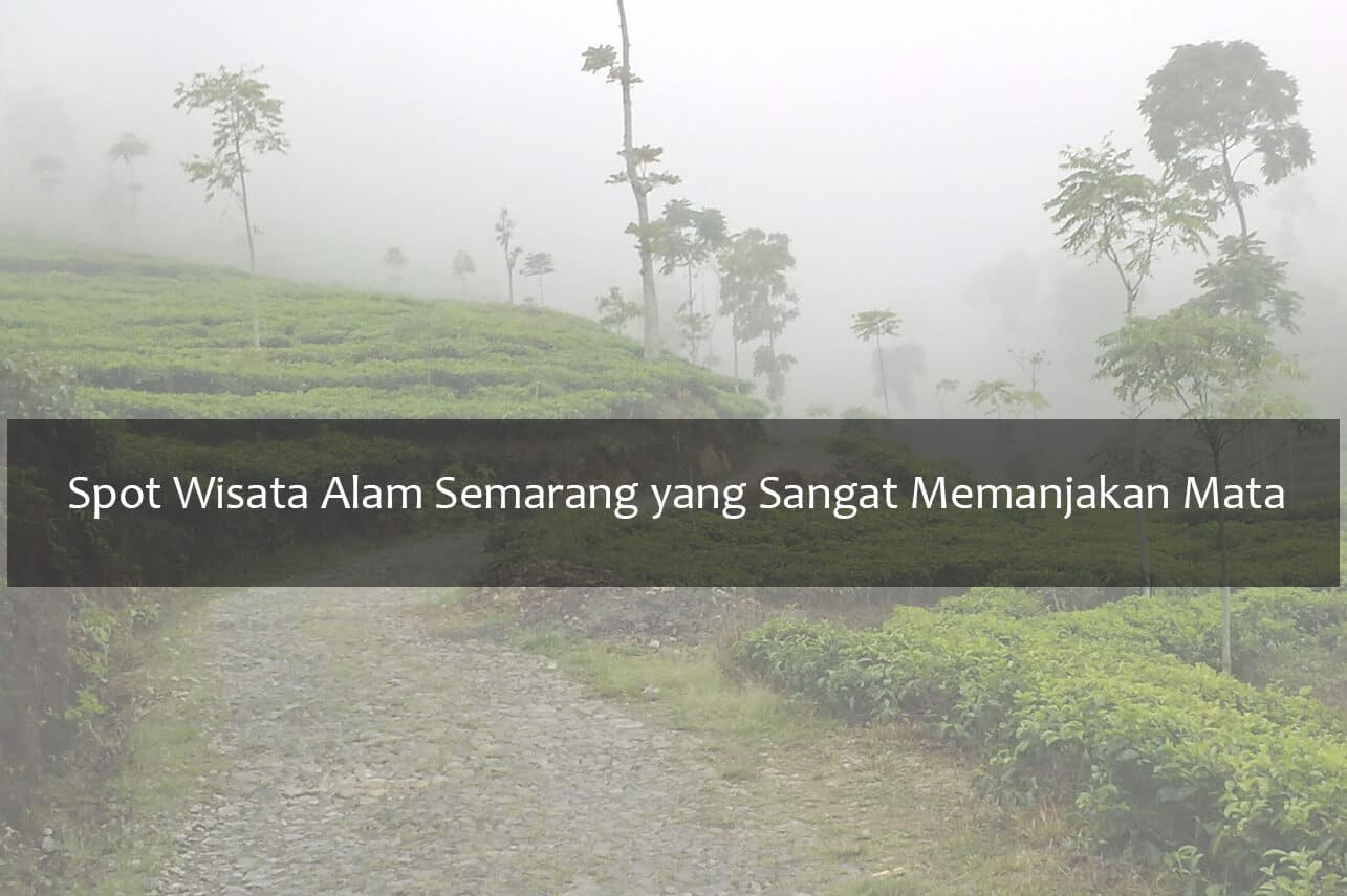 Spot Wisata Alam Semarang yang Sangat Memanjakan Mata